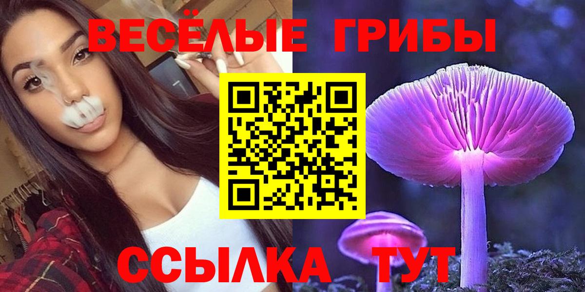 Галлюциногенные грибы прущие грибы Камышин