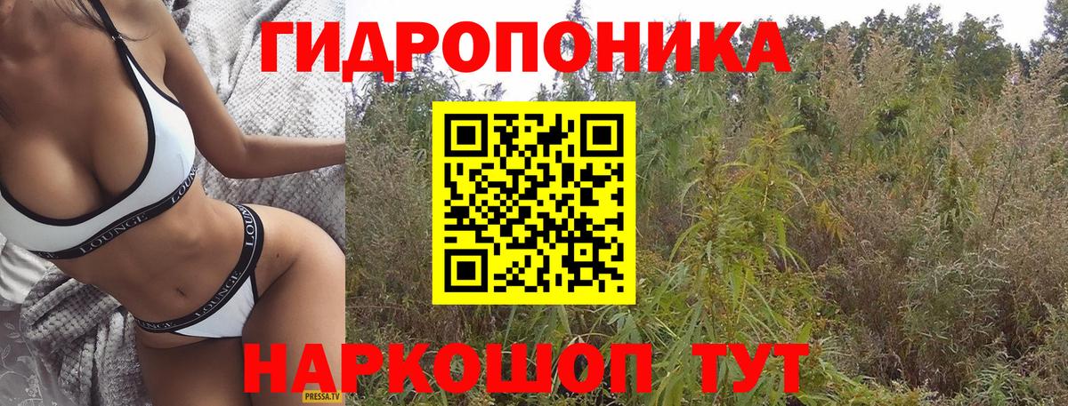 Бошки марихуана White Widow  Конопля марихуана  Каннабис сатива  Камышин  Вход с VPN  Канабис сатива 